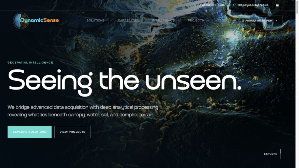 DynamicSense website design, captured October 2026